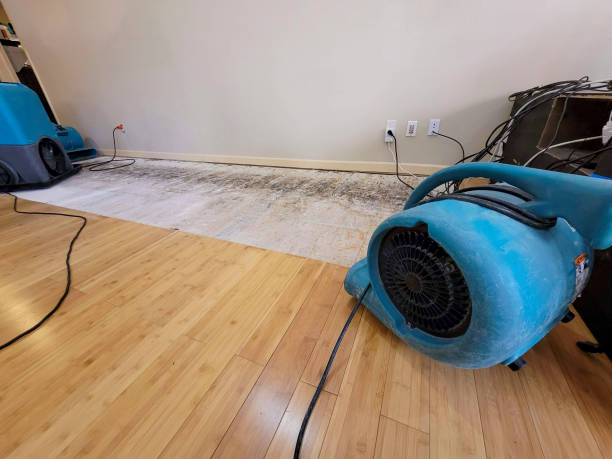 Professional Water Extraction technician working in Berkley, MI
